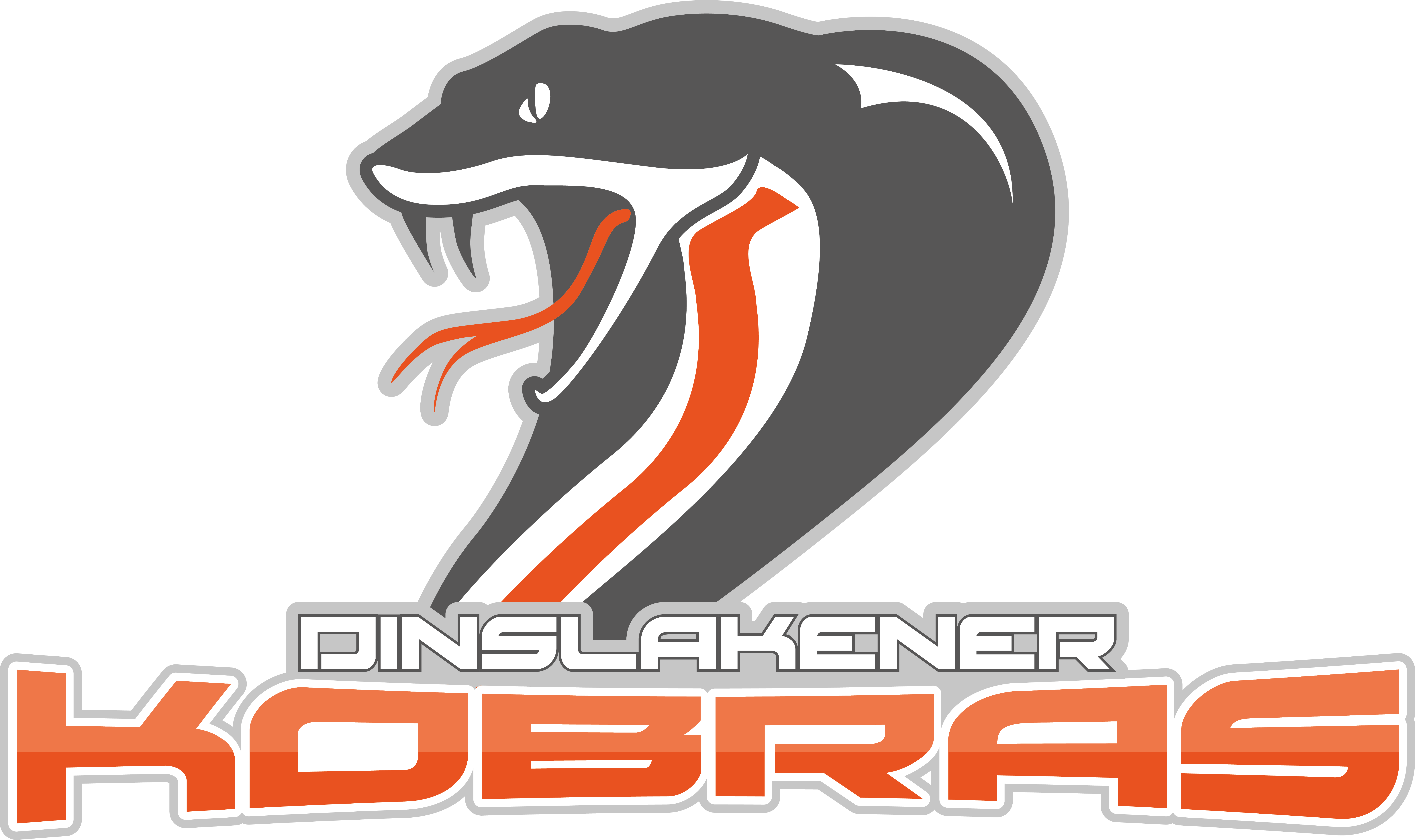 Dinslakener Kobras