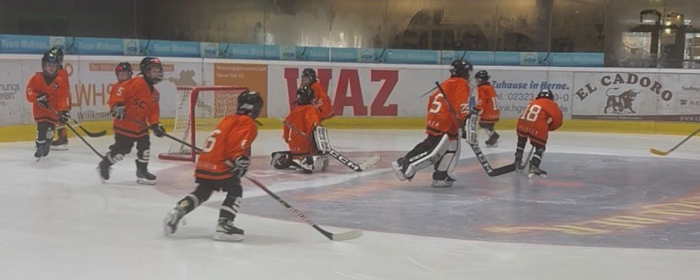 Freundschaftsspiel der U9 Dinslakener Kobras gegen Herner EV